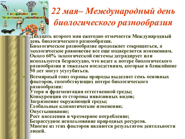 22 мая– Международный день биологического разнообразия Двадцать второго мая ежегодно отмечается