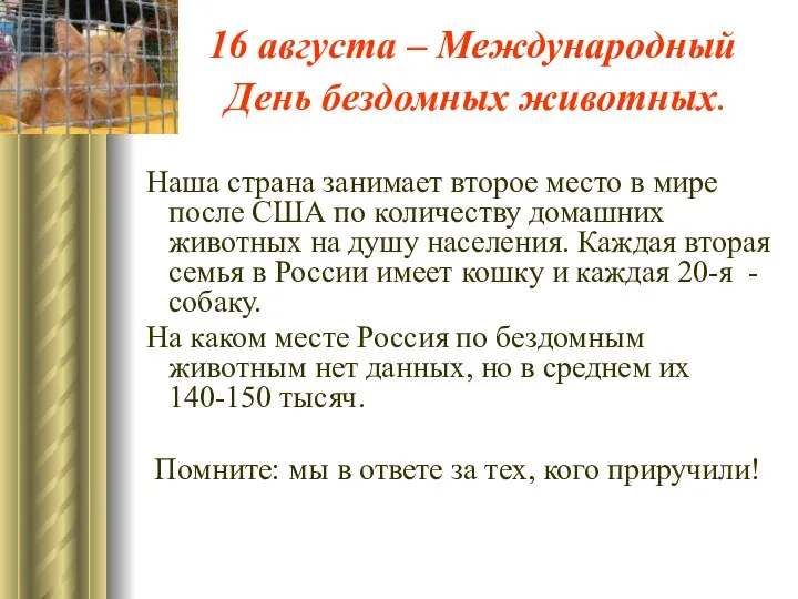 16 августа – Международный День бездомных животных. Наша страна занимает второе