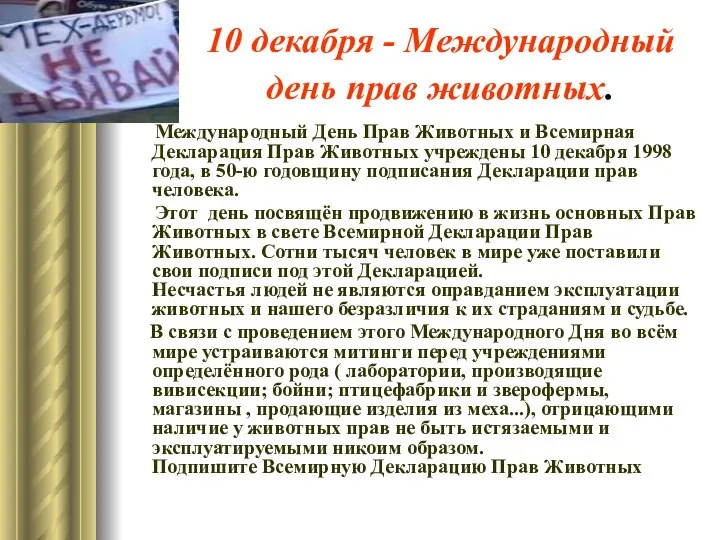 10 декабря - Международный день прав животных. Международный День Прав Животных