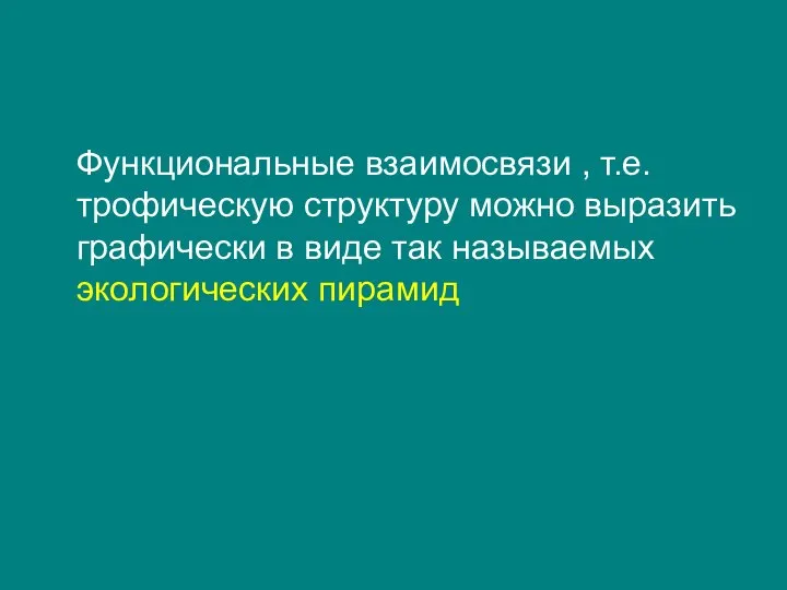 Функциональные взаимосвязи , т.е. трофическую структуру можно выразить графически в виде так называемых экологических пирамид