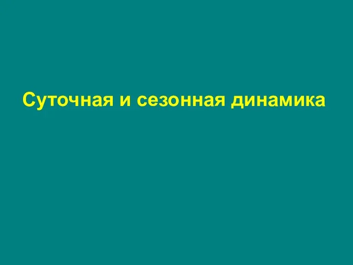 Суточная и сезонная динамика