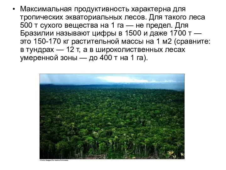 Максимальная продуктивность характерна для тропических экваториальных лесов. Для такого леса 500