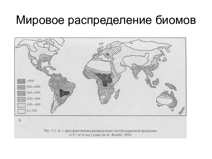 Мировое распределение биомов