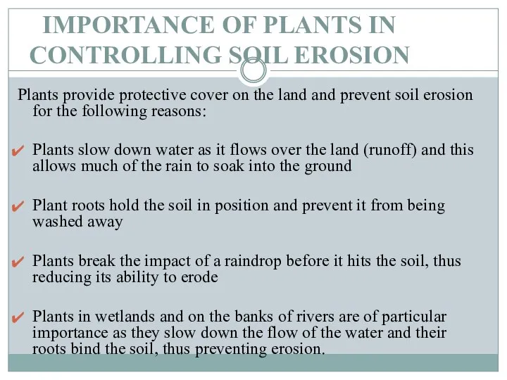 IMPORTANCE OF PLANTS IN CONTROLLING SOIL EROSION Plants provide protective cover