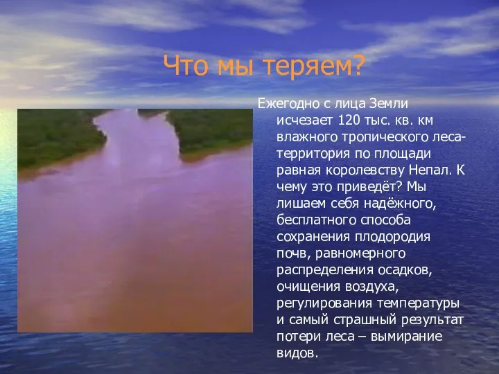 Что мы теряем? Ежегодно с лица Земли исчезает 120 тыс. кв.