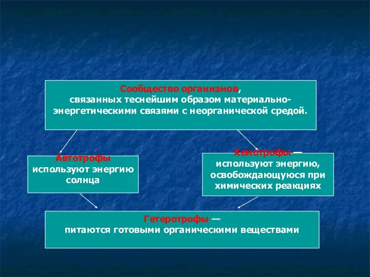 Сообщество организмов, связанных теснейшим образом материально- энергетическими связями с неорганической средой.