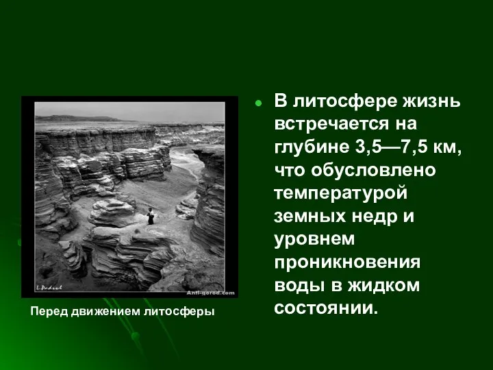 В литосфере жизнь встречается на глубине 3,5—7,5 км, что обусловлено температурой