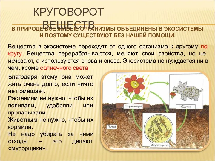 Вещества в экосистеме переходят от одного организма к другому по кругу.