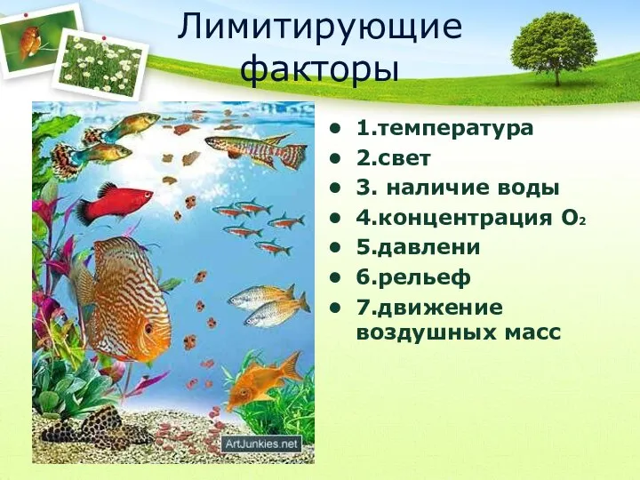 Лимитирующие факторы 1.температура 2.свет 3. наличие воды 4.концентрация О2 5.давлени 6.рельеф 7.движение воздушных масс