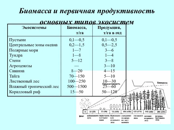 Биомасса и первичная продуктивность основных типов экосистем