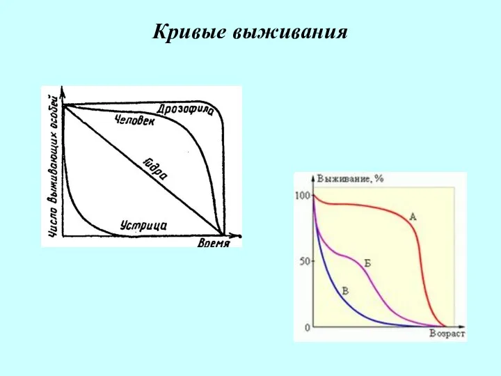 Кривые выживания