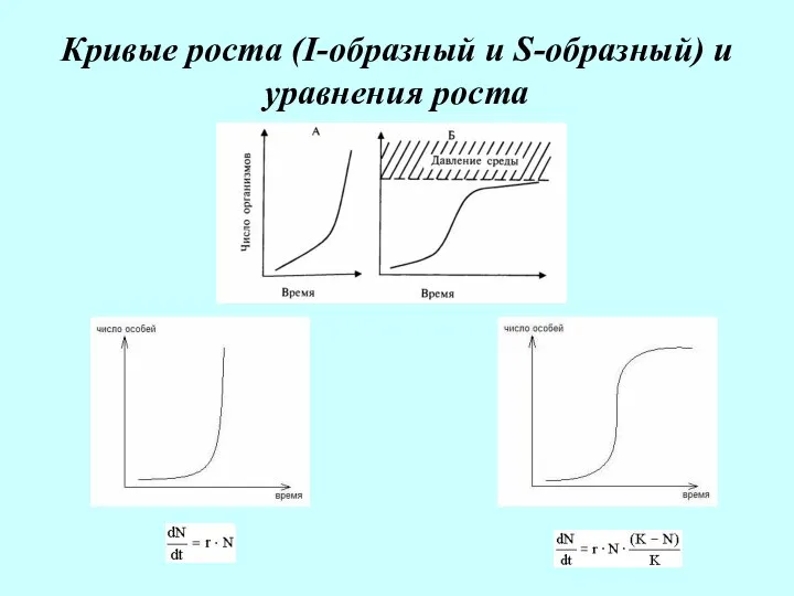 Кривые роста (I-образный и S-образный) и уравнения роста