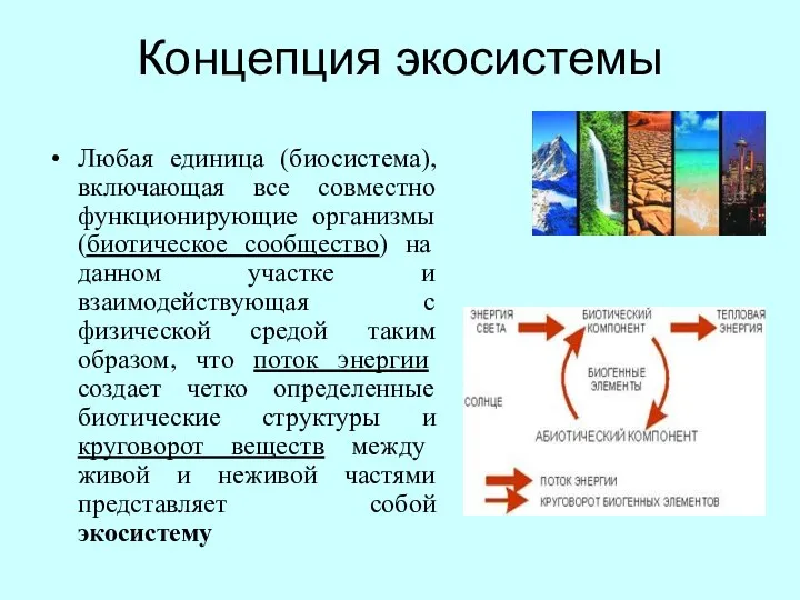 Концепция экосистемы Любая единица (биосистема), включающая все совместно функционирующие организмы (биотическое