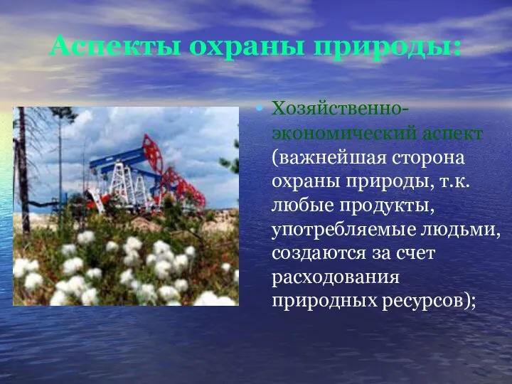 Аспекты охраны природы: Хозяйственно-экономический аспект (важнейшая сторона охраны природы, т.к. любые