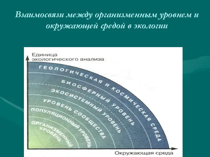 Взаимосвязи между организменным уровнем и окружающей средой в экологии