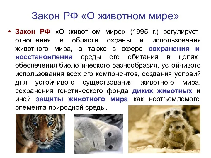 Закон РФ «О животном мире» Закон РФ «О животном мире» (1995