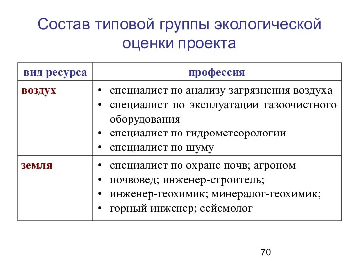 Состав типовой группы экологической оценки проекта