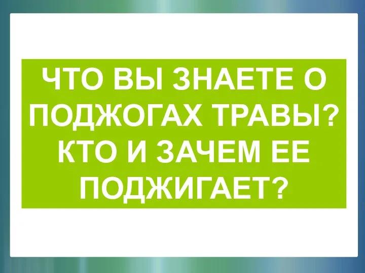 ЧТО ВЫ ЗНАЕТЕ О ПОДЖОГАХ ТРАВЫ? КТО И ЗАЧЕМ ЕЕ ПОДЖИГАЕТ?