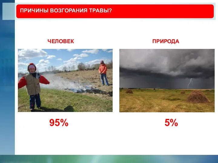 ПРИЧИНЫ ВОЗГОРАНИЯ ТРАВЫ? ЧЕЛОВЕК ПРИРОДА 95% 5%