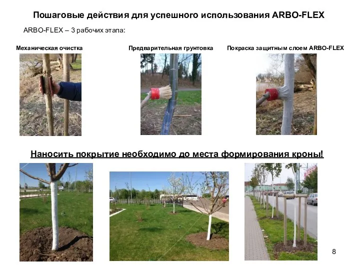 8 Пошаговые действия для успешного использования ARBO-FLEX ARBO-FLEX – 3 рабочих