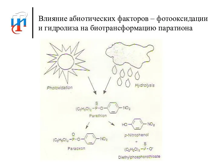 Влияние абиотических факторов – фотооксидации и гидролиза на биотрансформацию паратиона
