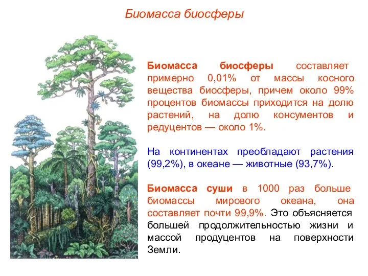 Биомасса биосферы Биомасса биосферы составляет примерно 0,01% от массы косного вещества