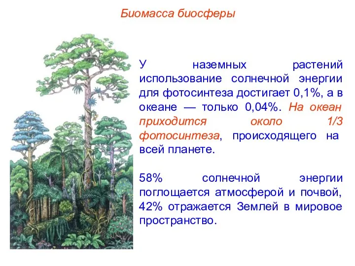 Биомасса биосферы У наземных растений использование солнечной энергии для фотосинтеза достигает