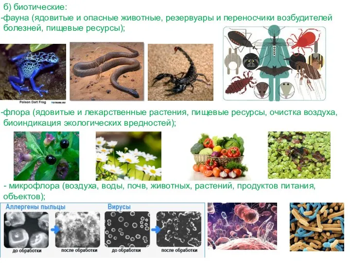 б) биотические: фауна (ядовитые и опасные животные, резервуары и переносчики возбудителей