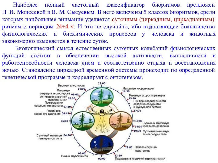 Наиболее полный частотный классификатор биоритмов предложен Н. И. Моисеевой и В.