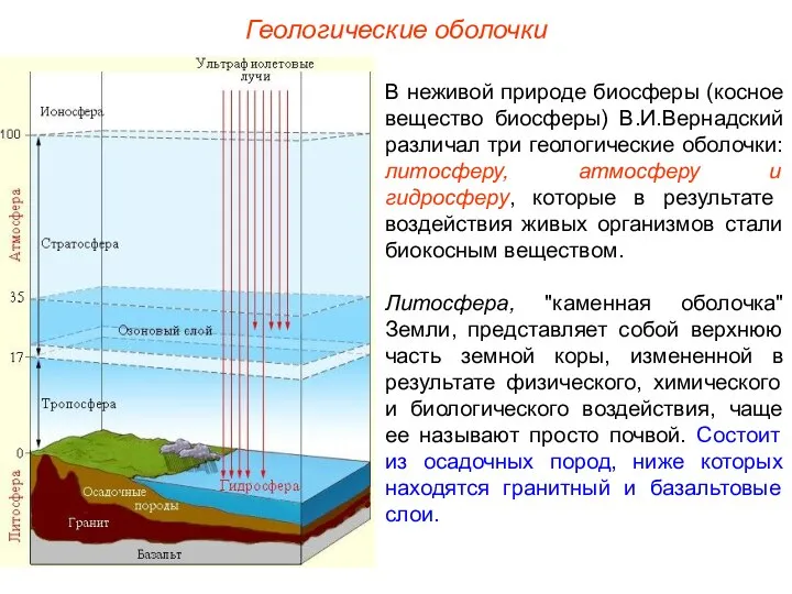 Геологические оболочки В неживой природе биосферы (косное вещество биосферы) В.И.Вернадский различал