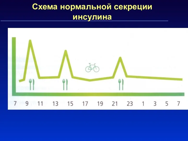 Схема нормальной секреции инсулина