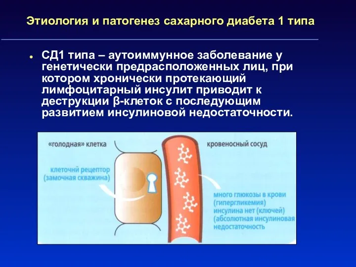 Этиология и патогенез сахарного диабета 1 типа СД1 типа – аутоиммунное