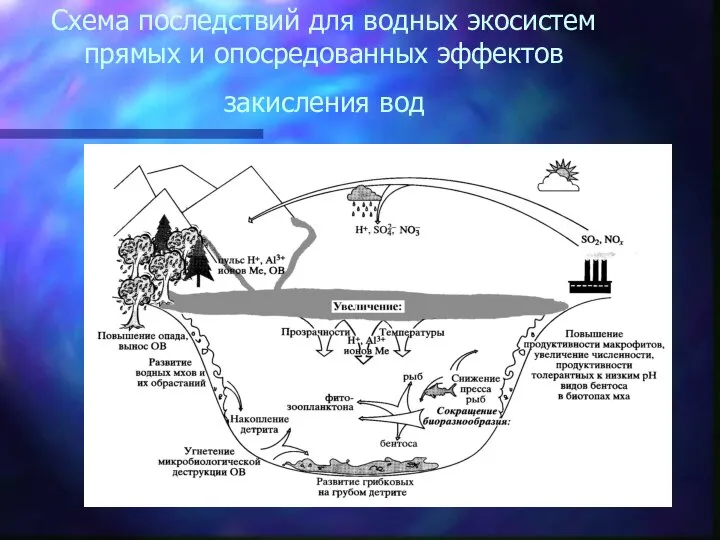 Схема последствий для водных экосистем прямых и опосредованных эффектов закисления вод