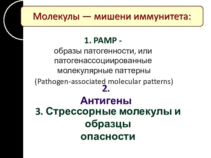 1. PAMP - образы патогенности, или патогенассоциированные молекулярные паттерны (Pathogen-associated molecular