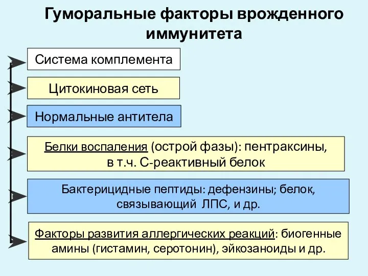 Гуморальные факторы врожденного иммунитета Система комплемента Цитокиновая сеть Нормальные антитела Бактерицидные