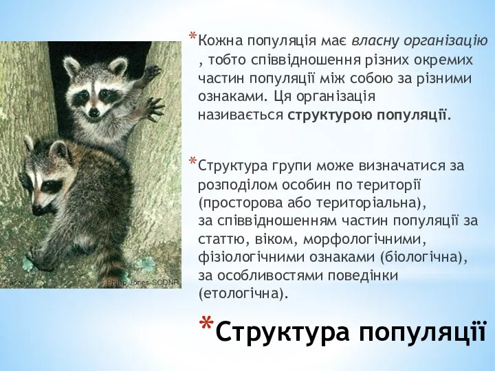 Структура популяції Кожна популяція має власну організацію, тобто співвідношення різних окремих