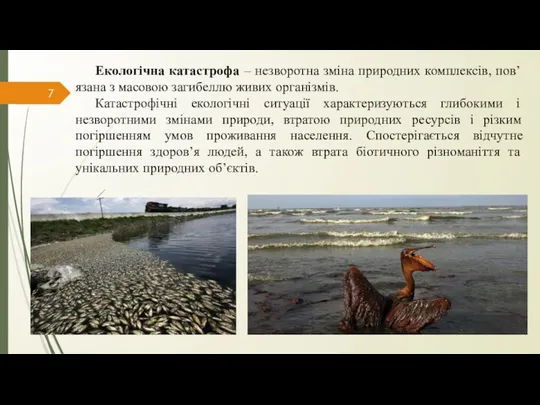 Екологічна катастрофа – незворотна зміна природних комплексів, пов’язана з масовою загибеллю