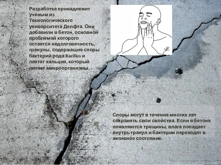 Споры могут в течение многих лет сохранять свои свойства. Если в