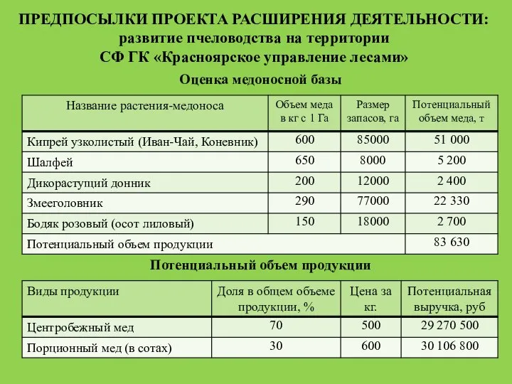 ПРЕДПОСЫЛКИ ПРОЕКТА РАСШИРЕНИЯ ДЕЯТЕЛЬНОСТИ: развитие пчеловодства на территории СФ ГК «Красноярское