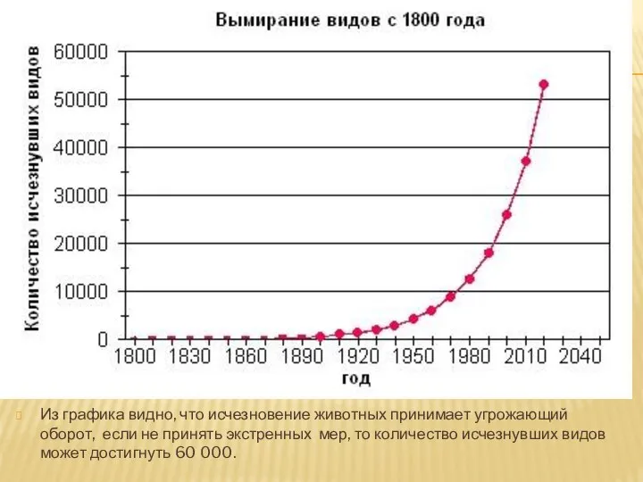 Из графика видно, что исчезновение животных принимает угрожающий оборот, если не