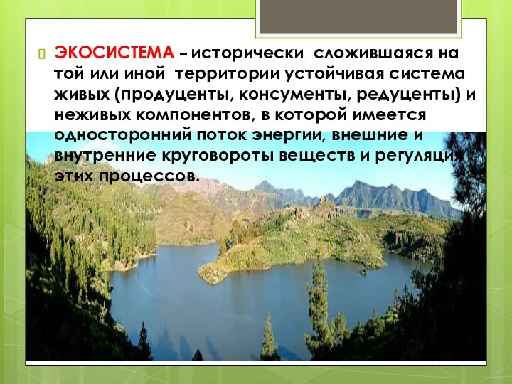 ЭКОСИСТЕМА – исторически сложившаяся на той или иной территории устойчивая система