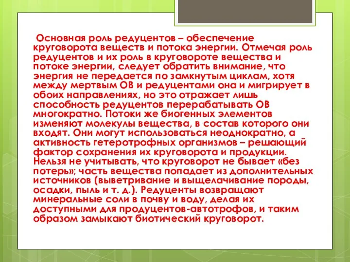 Основная роль редуцентов – обеспечение круговорота веществ и потока энергии. Отмечая