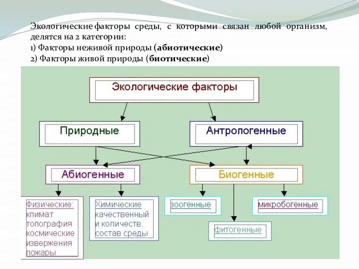 Экологические факторы среды, с которыми связан любой организм, делятся на 2