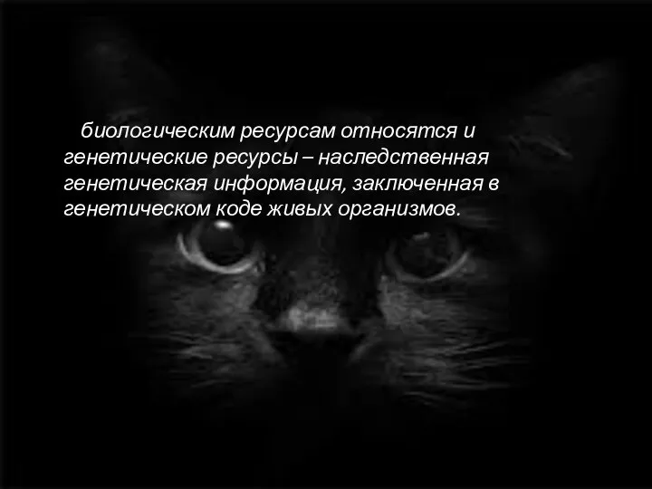 К биологическим ресурсам относятся и генетические ресурсы – наследственная генетическая информация,