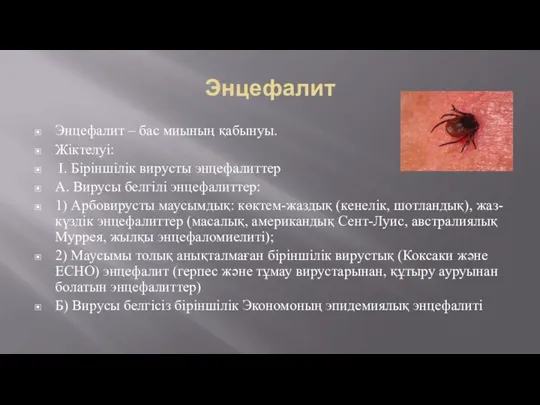 Энцефалит Энцефалит – бас миының қабынуы. Жіктелуі: І. Біріншілік вирусты энцефалиттер