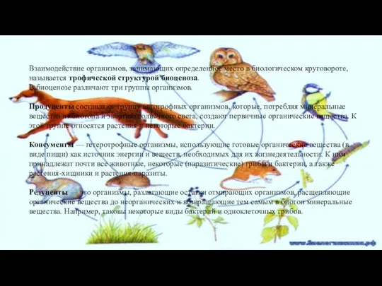 Взаимодействие организмов, занимающих определенное место в биологическом круговороте, называется трофической структурой