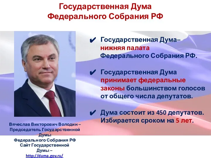 Государственная Дума Федерального Собрания РФ Государственная Дума– нижняя палата Федерального Собрания