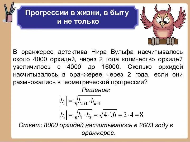 В оранжерее детектива Нира Вульфа насчитывалось около 4000 орхидей, через 2