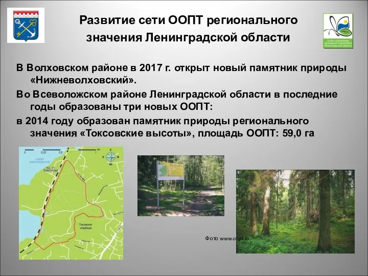 В Волховском районе в 2017 г. открыт новый памятник природы «Нижневолховский».