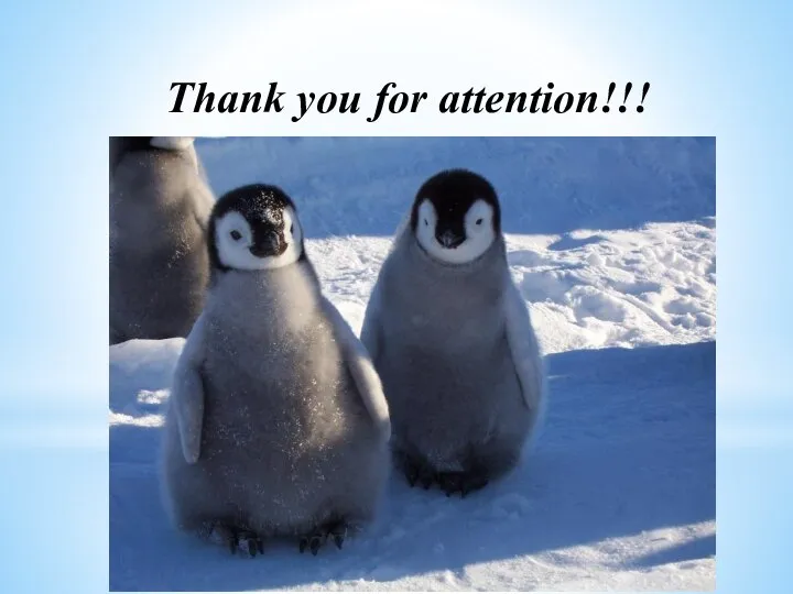 Thank you for attention!!!